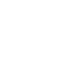 karbones logo 1